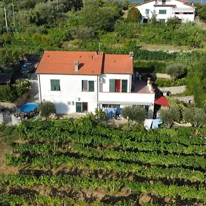 in-vino-veritas.hotelitalianriviera.com/